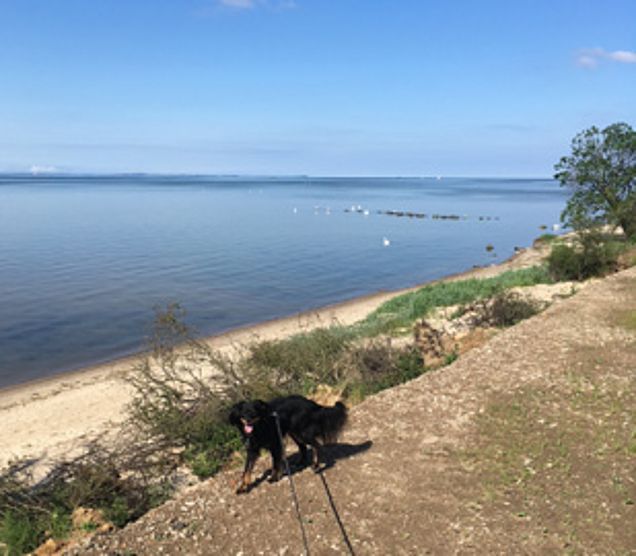 Strand und Meer Strand und Meer